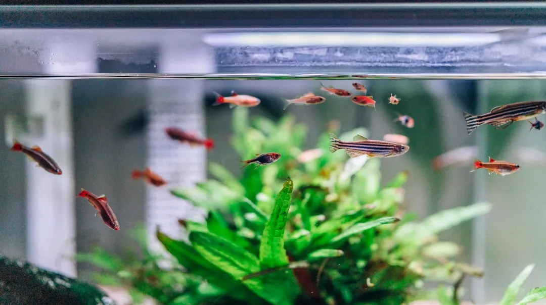 瑜伽垫TPE与NBR材质对比分析及选购建议